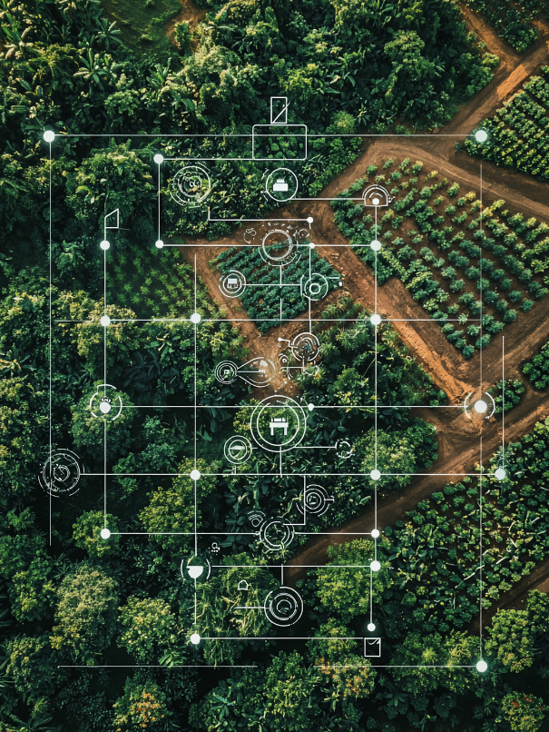 Jartek_Automation_AdobeStock