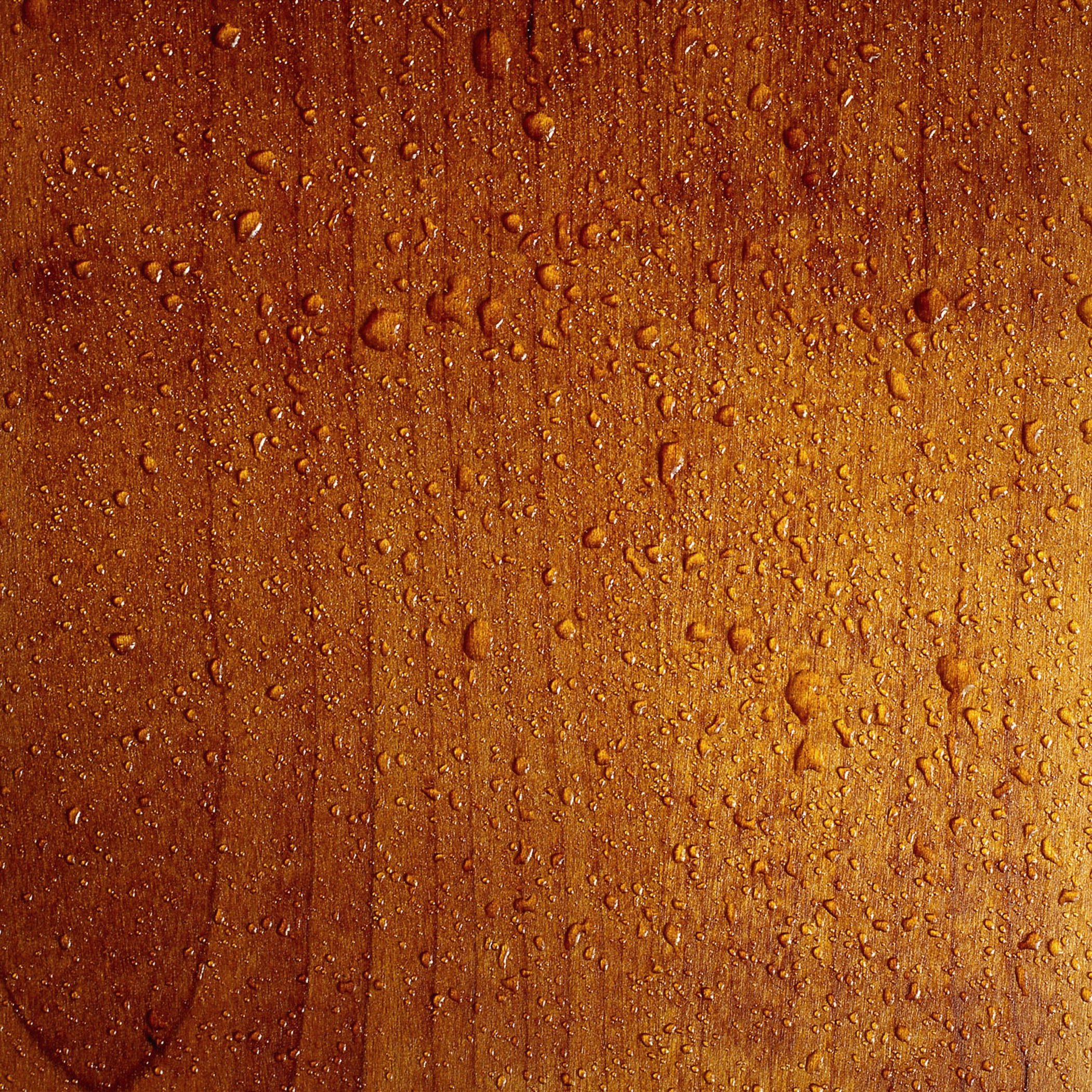 Thermally Modified Wood
