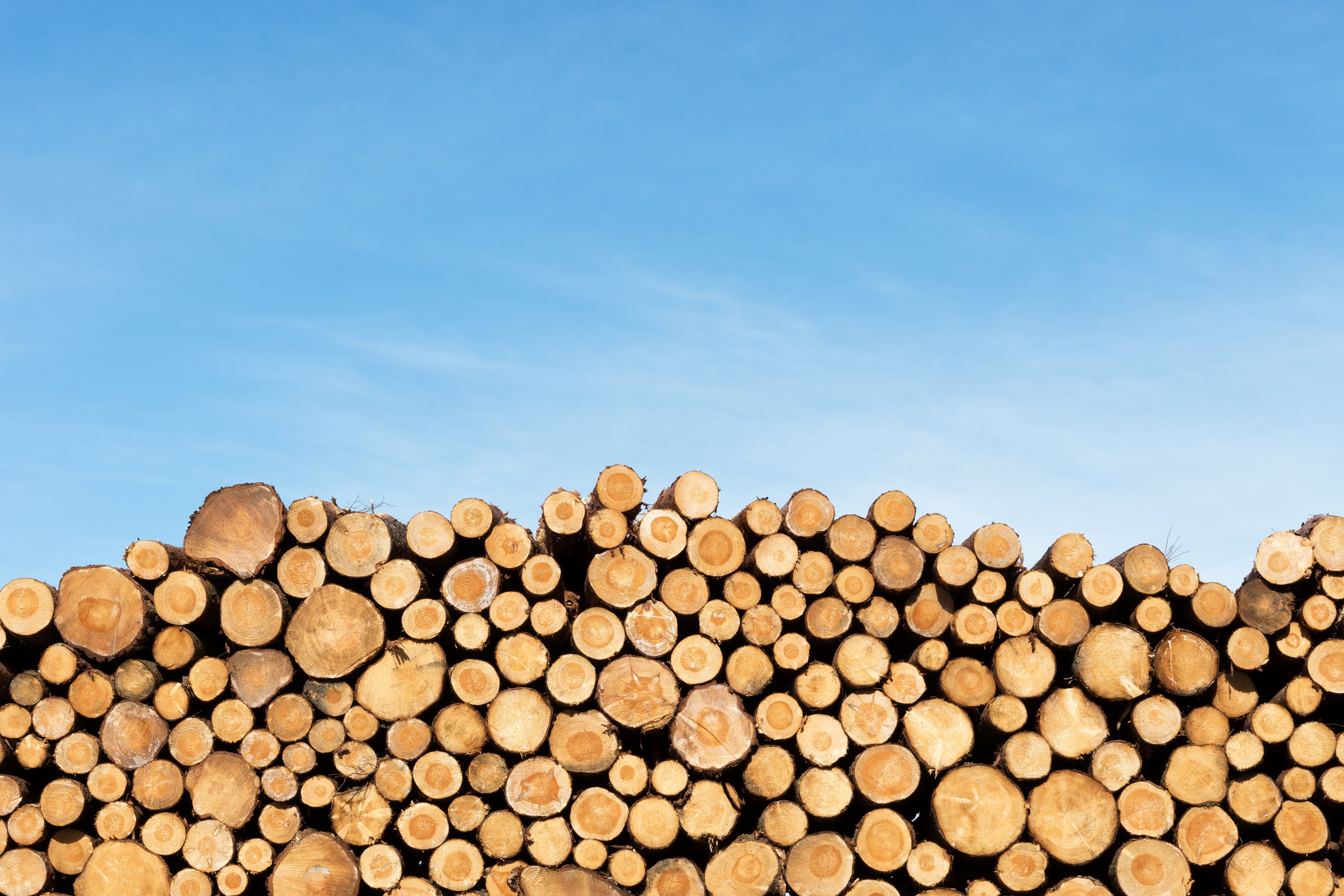 Wooden_Logs